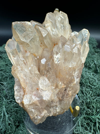 Citrin Handstufe aus Kunduluni, Kongo (299g) - sehr schöne helle Kristallspitzen - crystal paradise