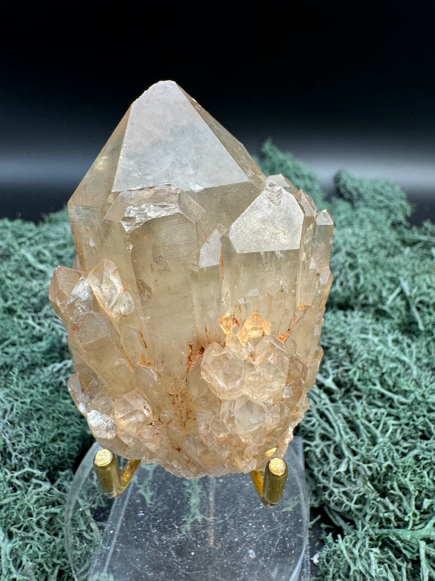 Citrin Handstufe aus Kunduluni, Kongo (160g) - sehr schöne helle große Kristallspitze - crystal paradise