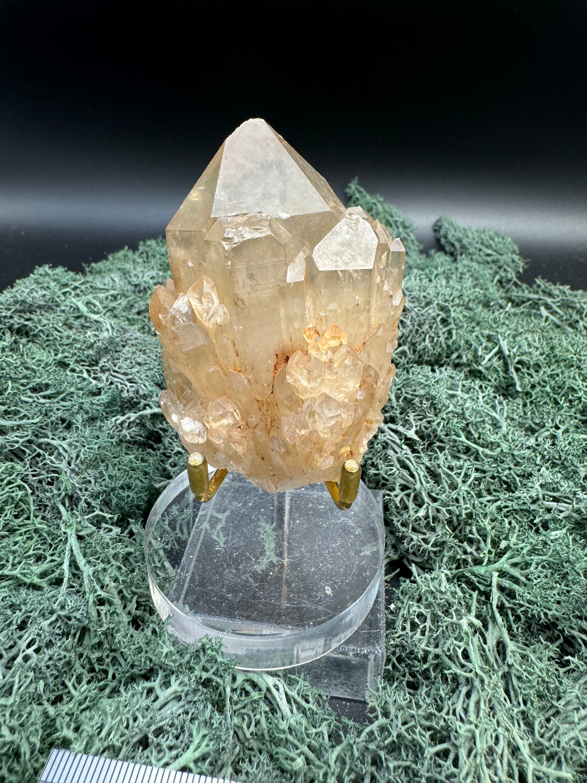 Citrin Handstufe aus Kunduluni, Kongo (160g) - sehr schöne helle große Kristallspitze - crystal paradise