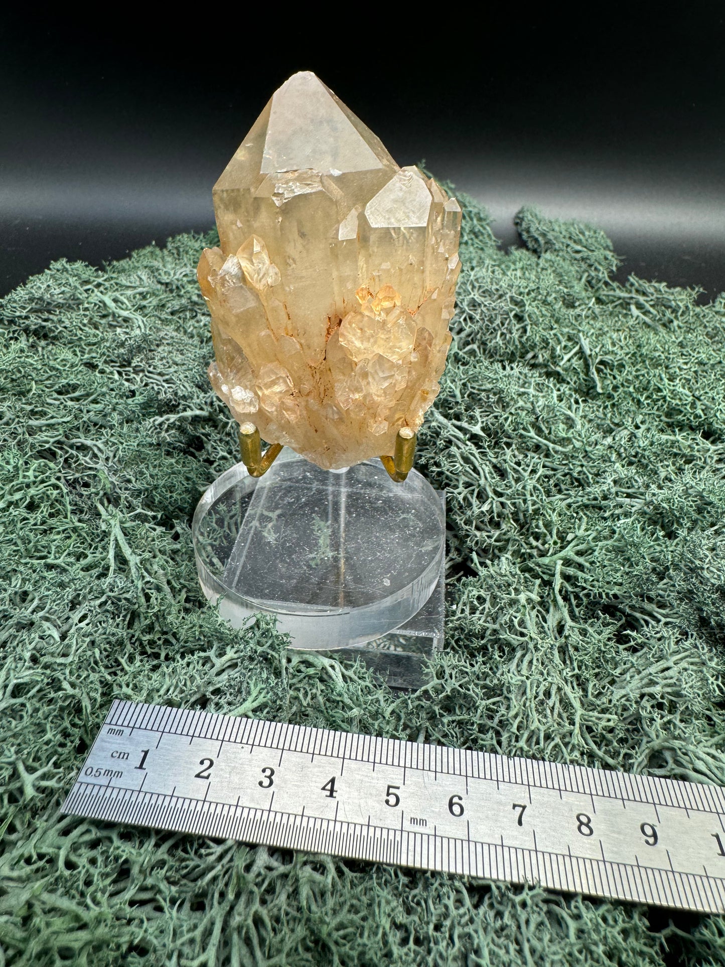 Citrin Handstufe aus Kunduluni, Kongo (160g) - sehr schöne helle große Kristallspitze - crystal paradise