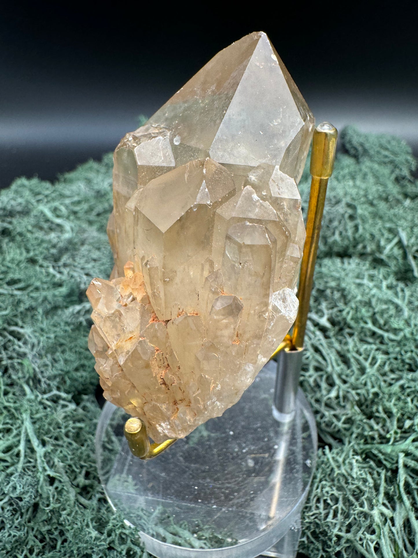 Citrin Handstufe aus Kunduluni, Kongo (160g) - sehr schöne helle große Kristallspitze - crystal paradise