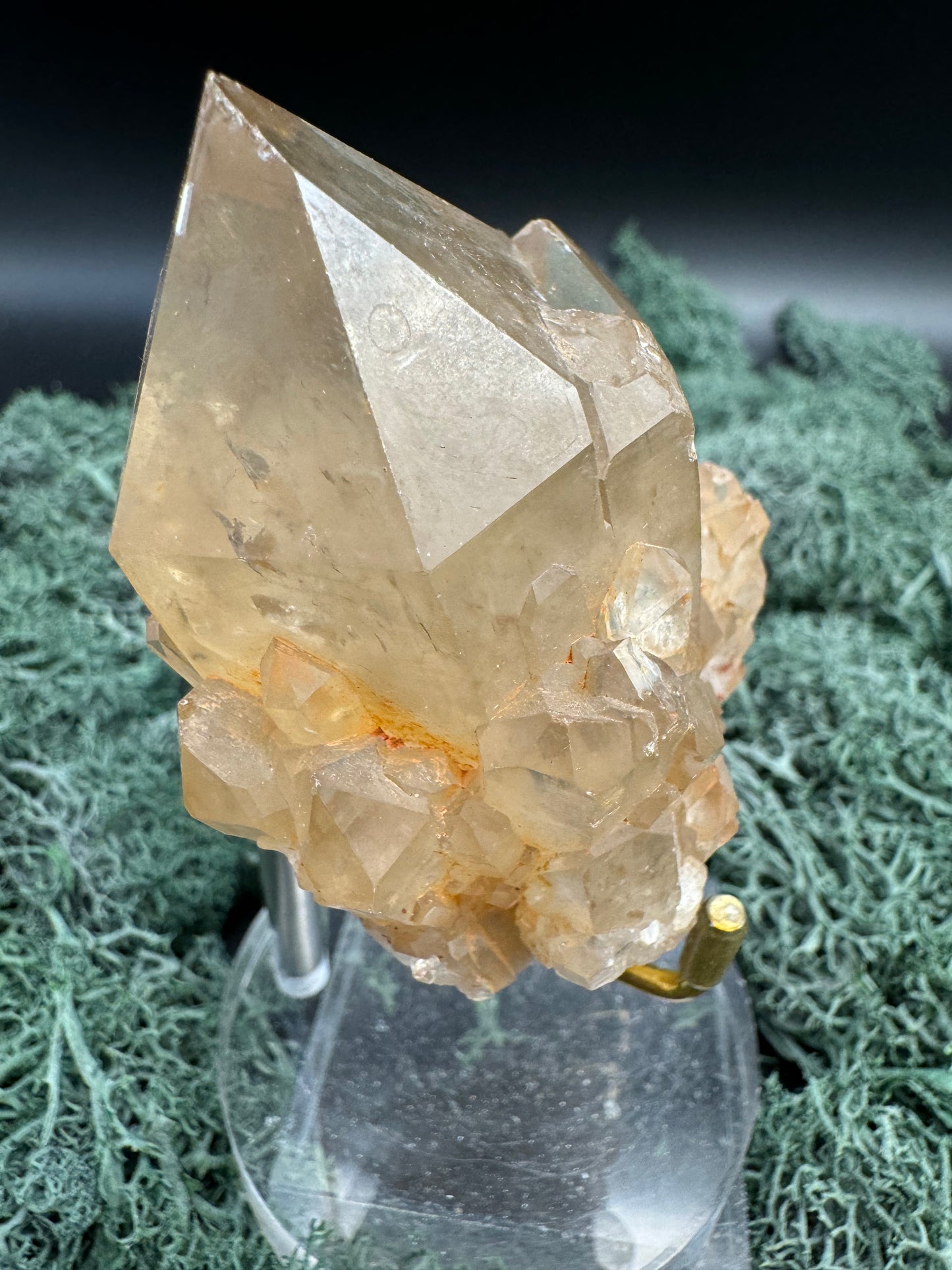 Citrin Handstufe aus Kunduluni, Kongo (160g) - sehr schöne helle große Kristallspitze - crystal paradise