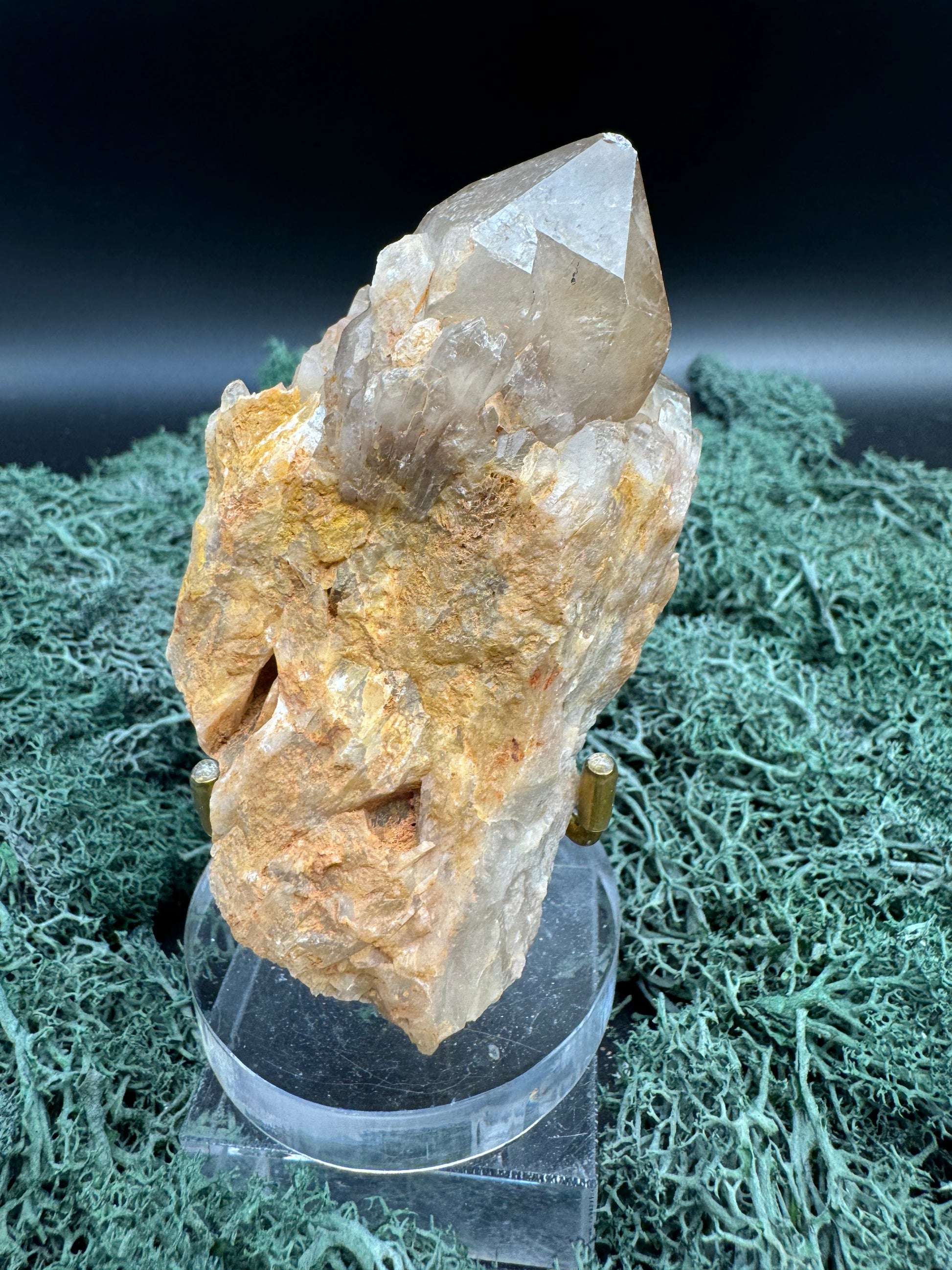 Citrin Handstufe aus Kunduluni, Kongo (176g) - schöne Kristallspitzen - crystal paradise