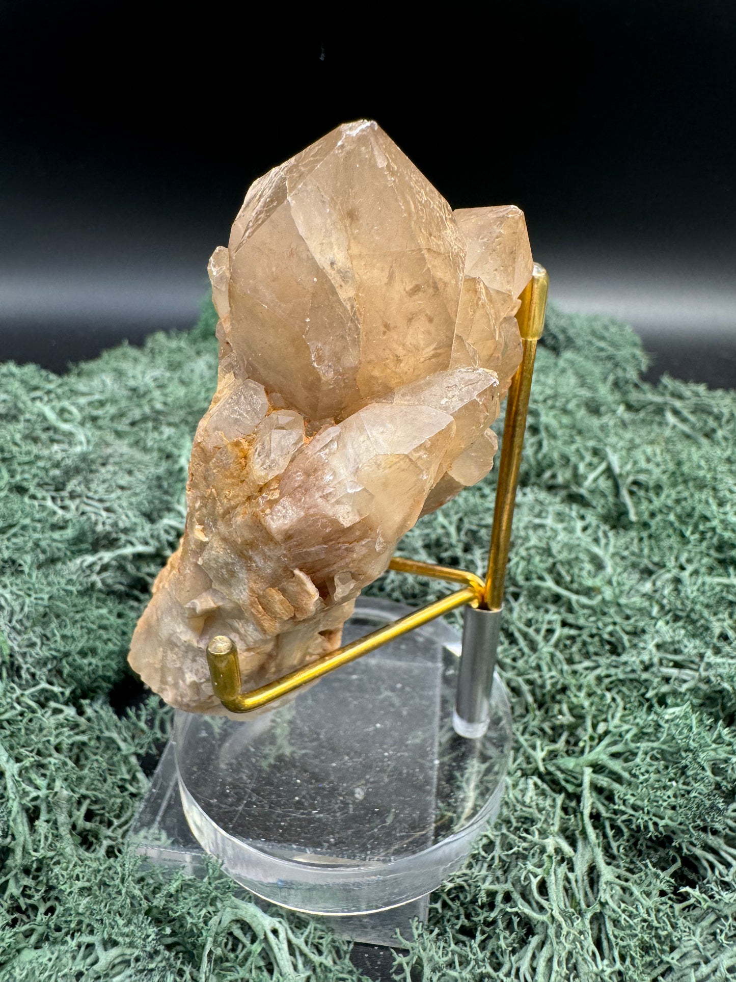 Citrin Handstufe aus Kunduluni, Kongo (176g) - schöne Kristallspitzen - crystal paradise