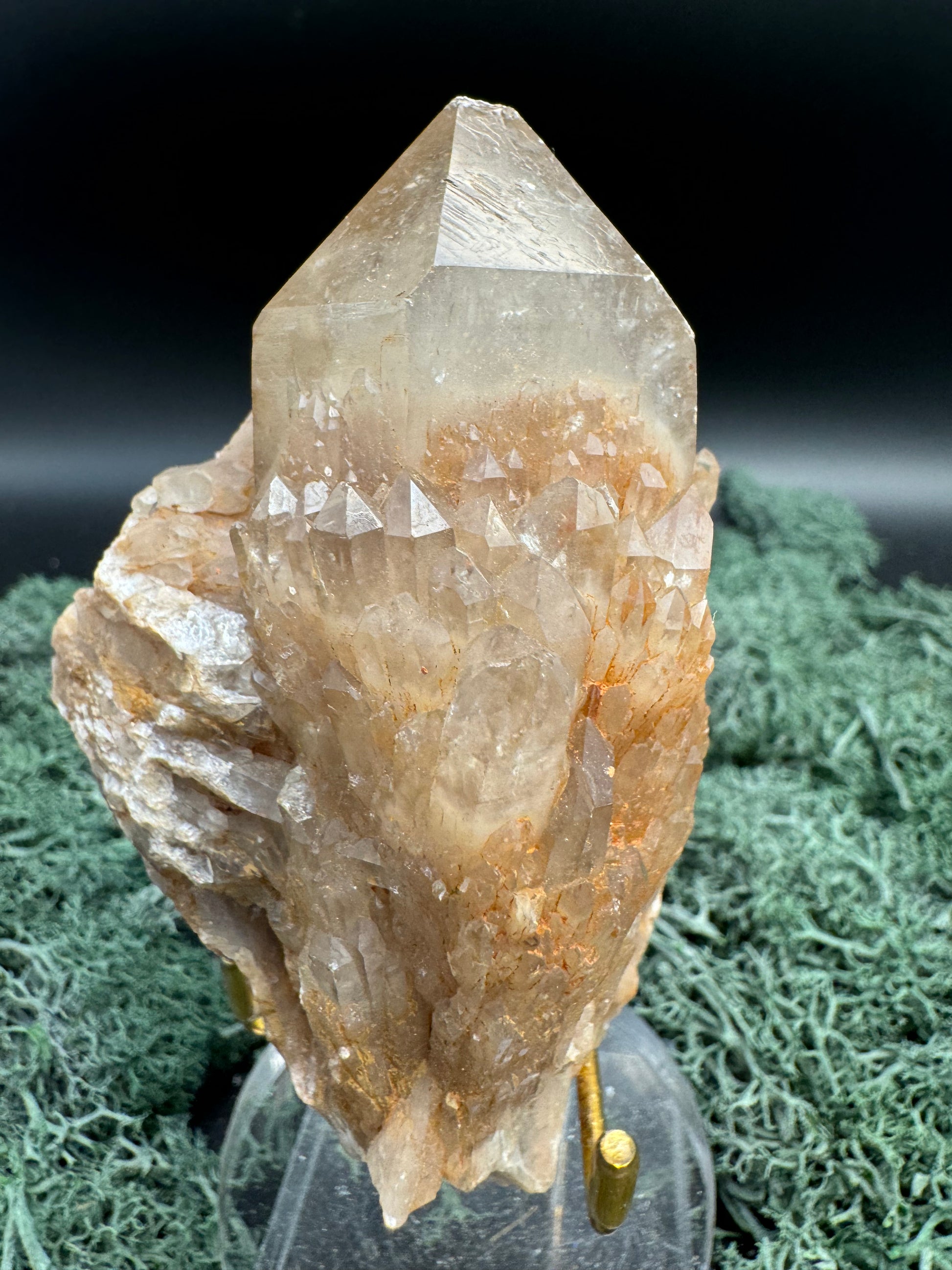 Citrin Handstufe aus Kunduluni, Kongo (304g) - schöne große Kristallspitze - crystal paradise