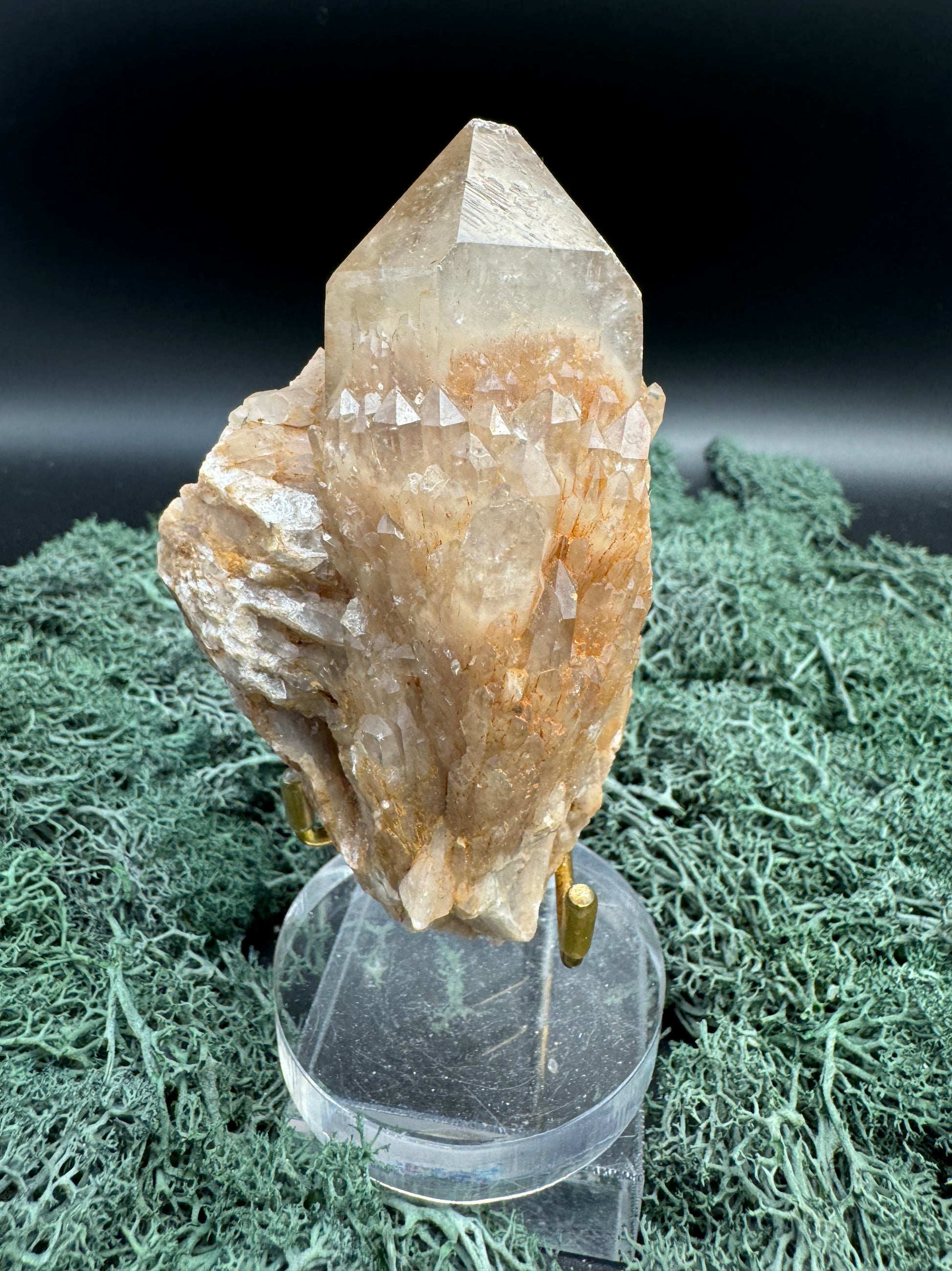 Citrin Handstufe aus Kunduluni, Kongo (304g) - schöne große Kristallspitze - crystal paradise