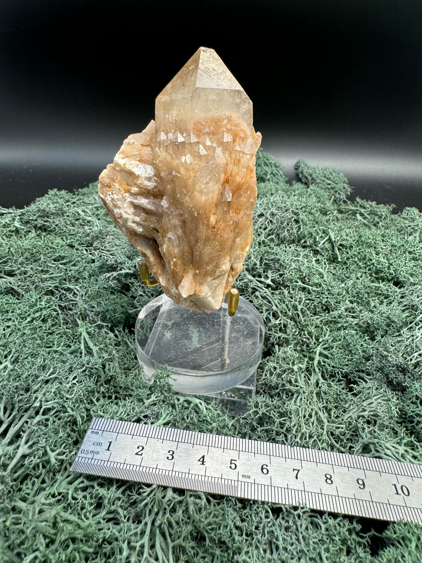 Citrin Handstufe aus Kunduluni, Kongo (304g) - schöne große Kristallspitze - crystal paradise