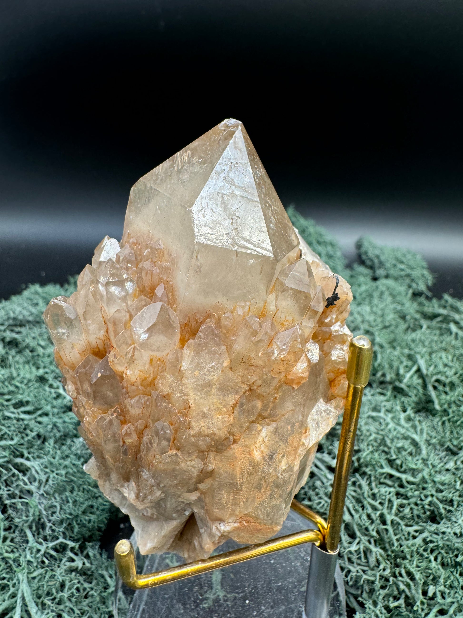 Citrin Handstufe aus Kunduluni, Kongo (304g) - schöne große Kristallspitze - crystal paradise