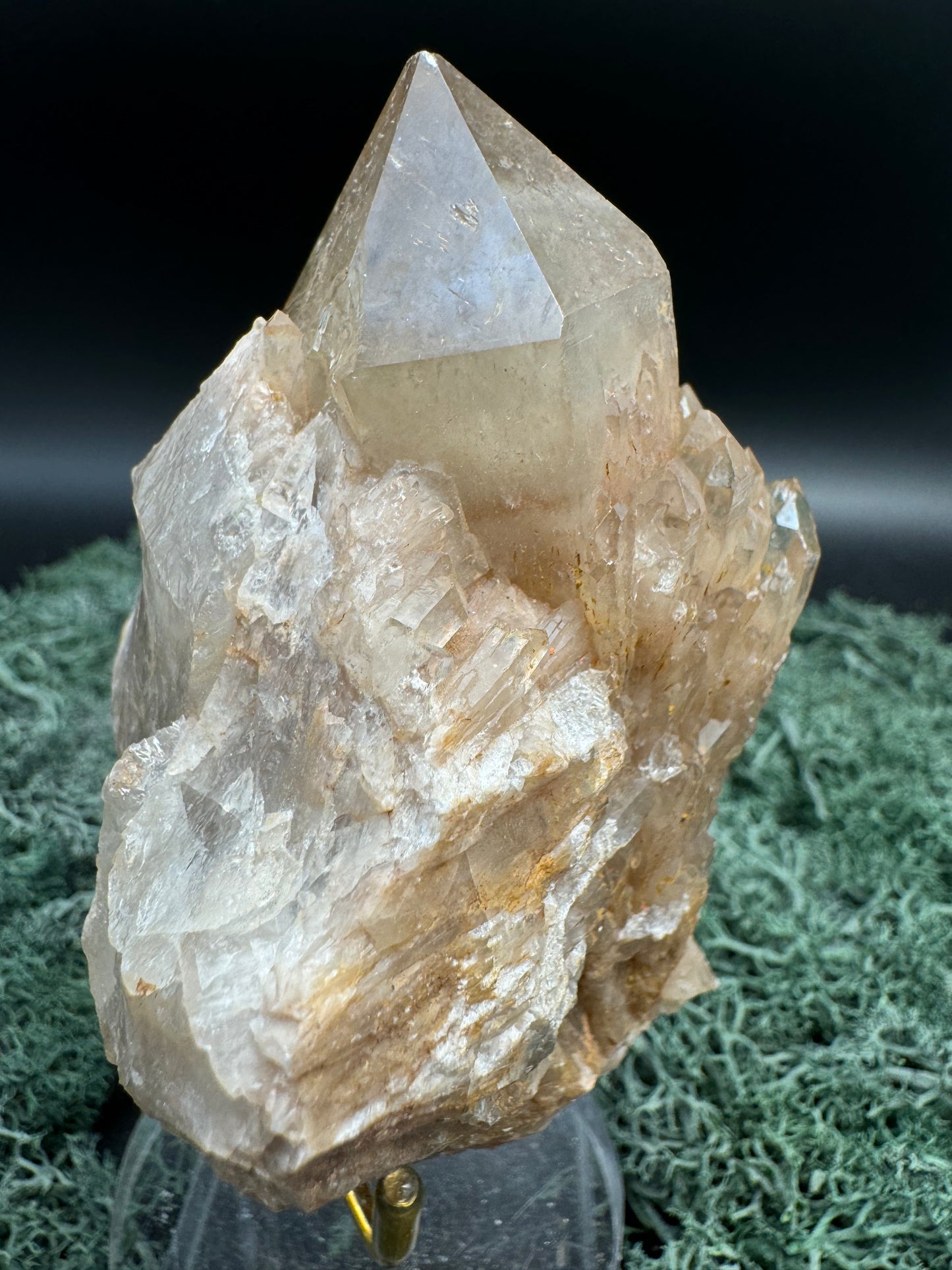 Citrin Handstufe aus Kunduluni, Kongo (304g) - schöne große Kristallspitze - crystal paradise