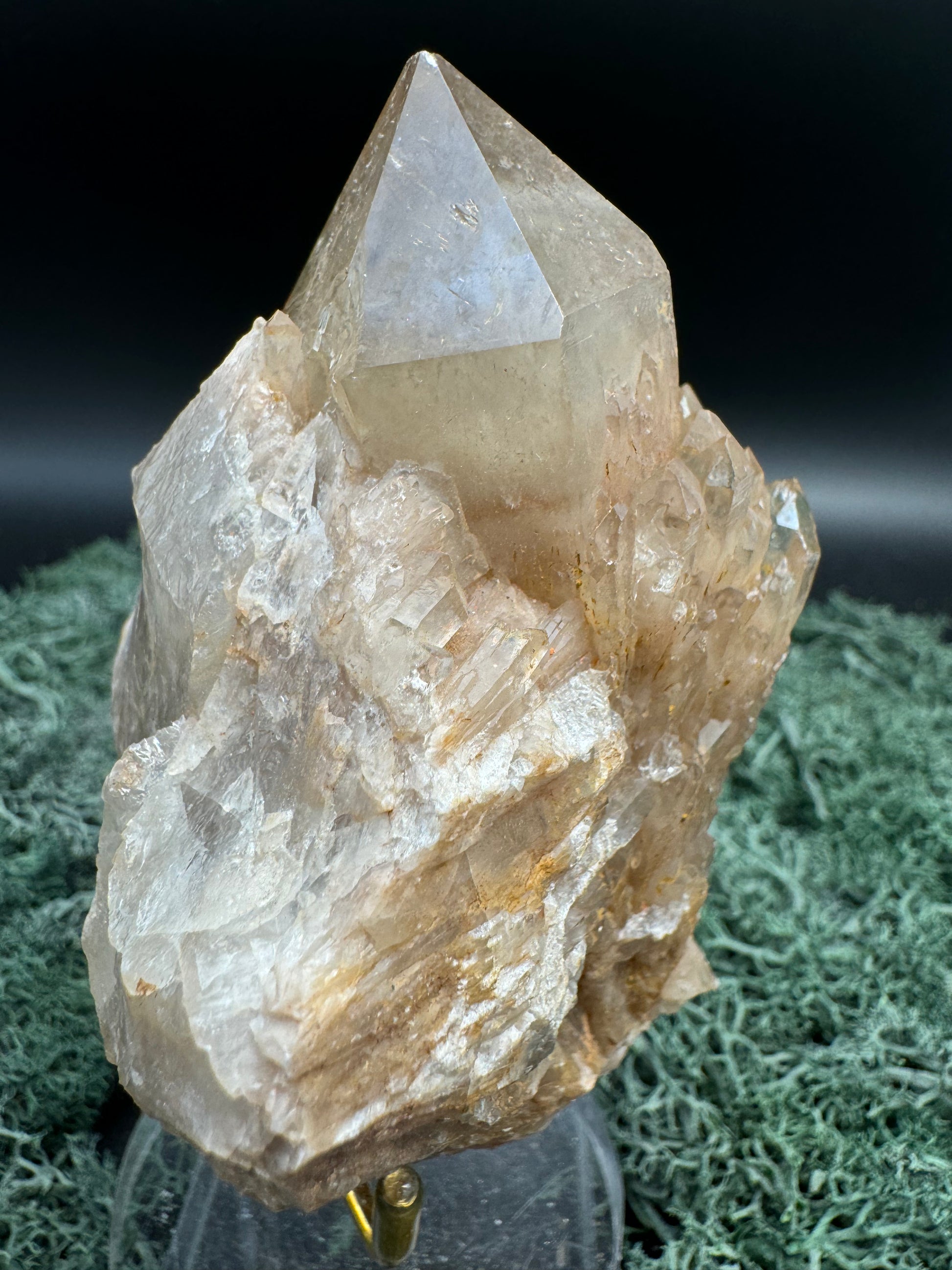 Citrin Handstufe aus Kunduluni, Kongo (304g) - schöne große Kristallspitze - crystal paradise