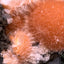 Thomsonit aus Indien (114g) - Stufe - leuchtend orange Farbe, schöne Kugelbildung auf Muttergestein - crystal paradise