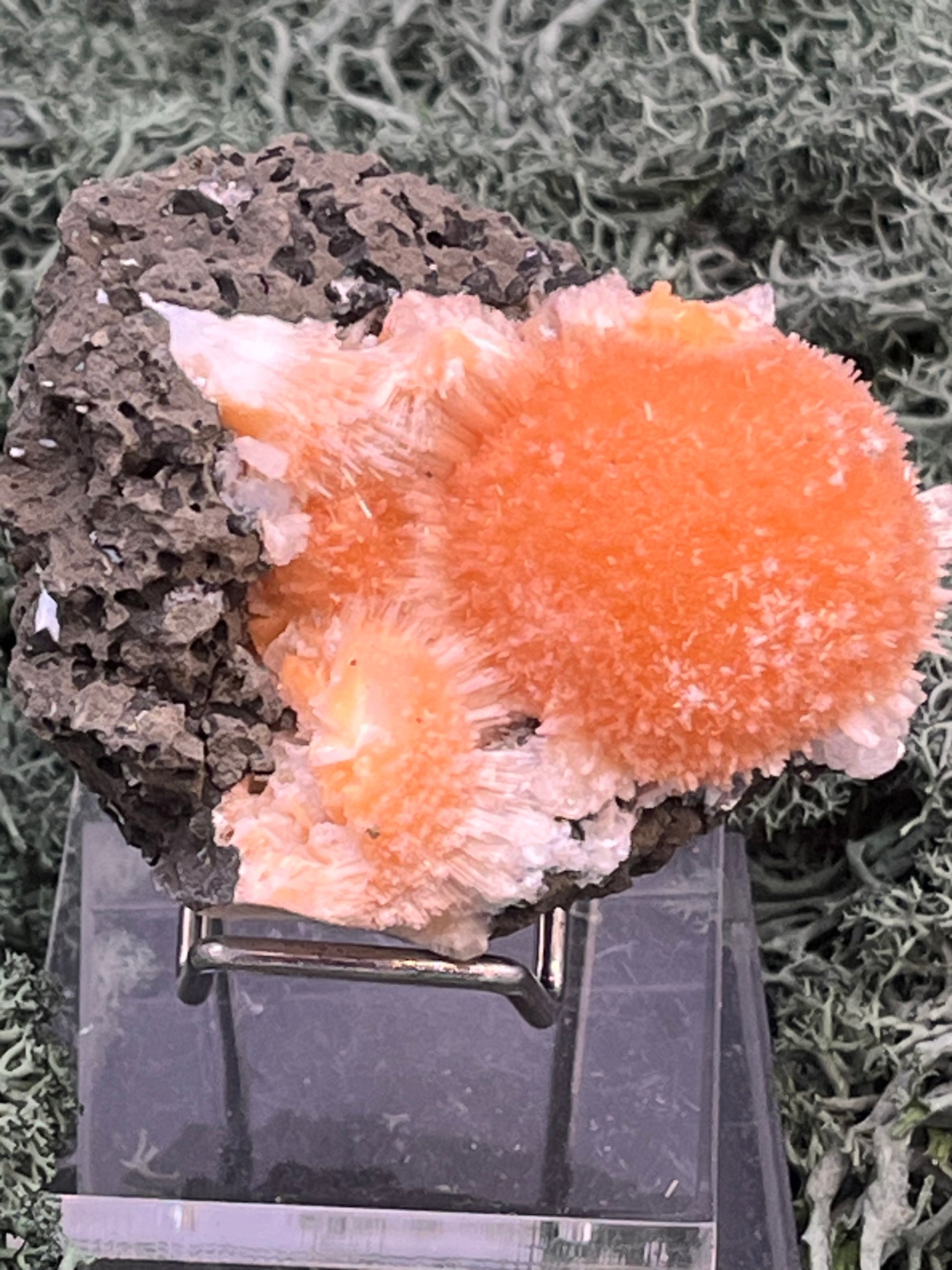 Thomsonit aus Indien (114g) - Stufe - leuchtend orange Farbe, schöne Kugelbildung auf Muttergestein - crystal paradise