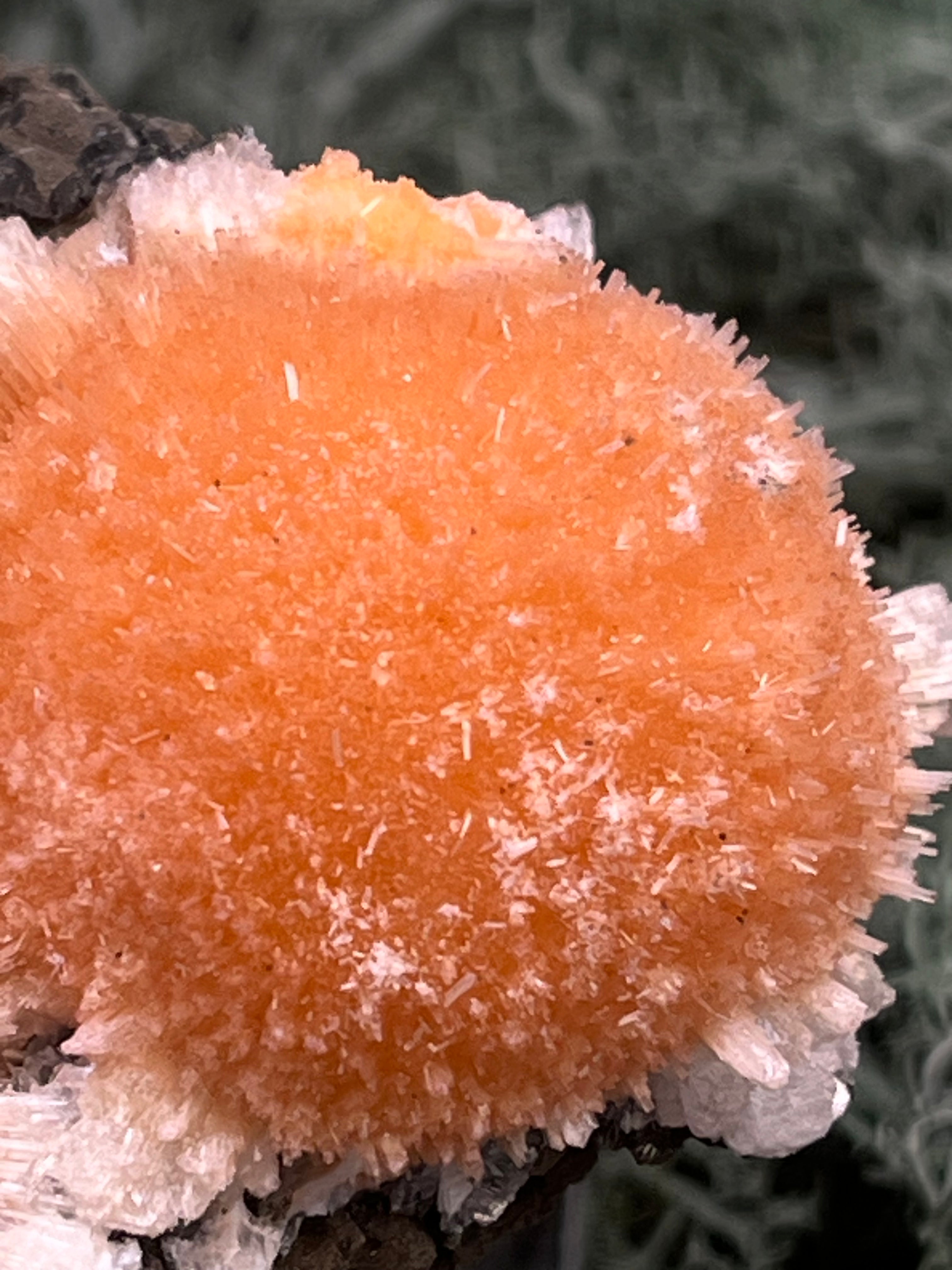 Thomsonit aus Indien (114g) - Stufe - leuchtend orange Farbe, schöne Kugelbildung auf Muttergestein - crystal paradise