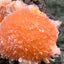 Thomsonit aus Indien (114g) - Stufe - leuchtend orange Farbe, schöne Kugelbildung auf Muttergestein - crystal paradise