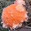 Thomsonit aus Indien (114g) - Stufe - leuchtend orange Farbe, schöne Kugelbildung auf Muttergestein - crystal paradise