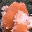 Thomsonit aus Indien (92g) - Stufe - leuchtend orange Farbe, mehrere schöne Kugelbildungen auf Muttergestein - crystal paradise