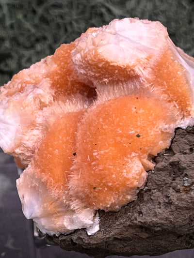 Thomsonit aus Indien (98g) - Stufe - leuchtend orange Farbe, mehrere schöne Kugelbildungen auf Muttergestein - crystal paradise