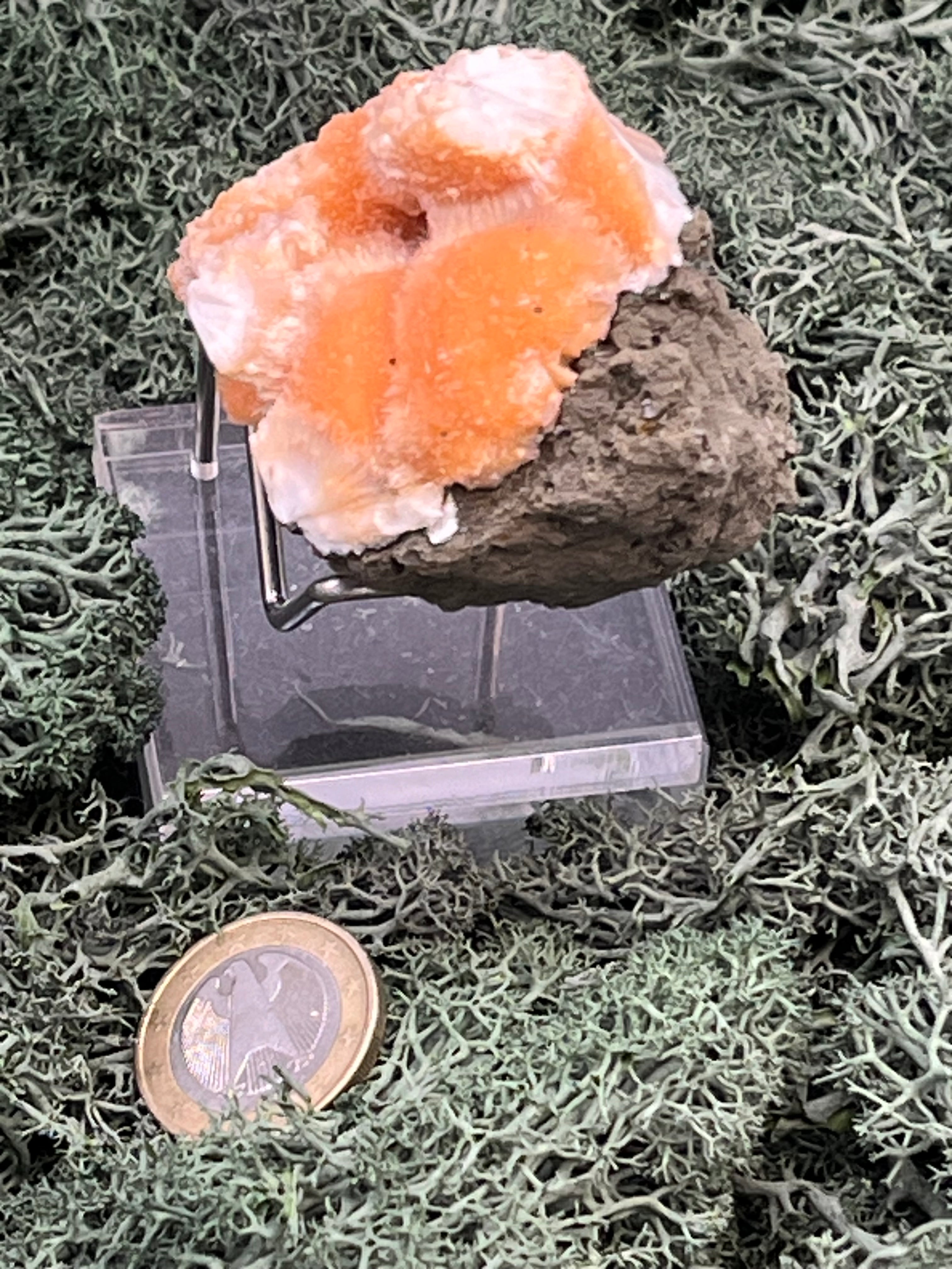 Thomsonit aus Indien (98g) - Stufe - leuchtend orange Farbe, mehrere schöne Kugelbildungen auf Muttergestein - crystal paradise