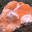 Thomsonit aus Indien (98g) - Stufe - leuchtend orange Farbe, mehrere schöne Kugelbildungen auf Muttergestein - crystal paradise