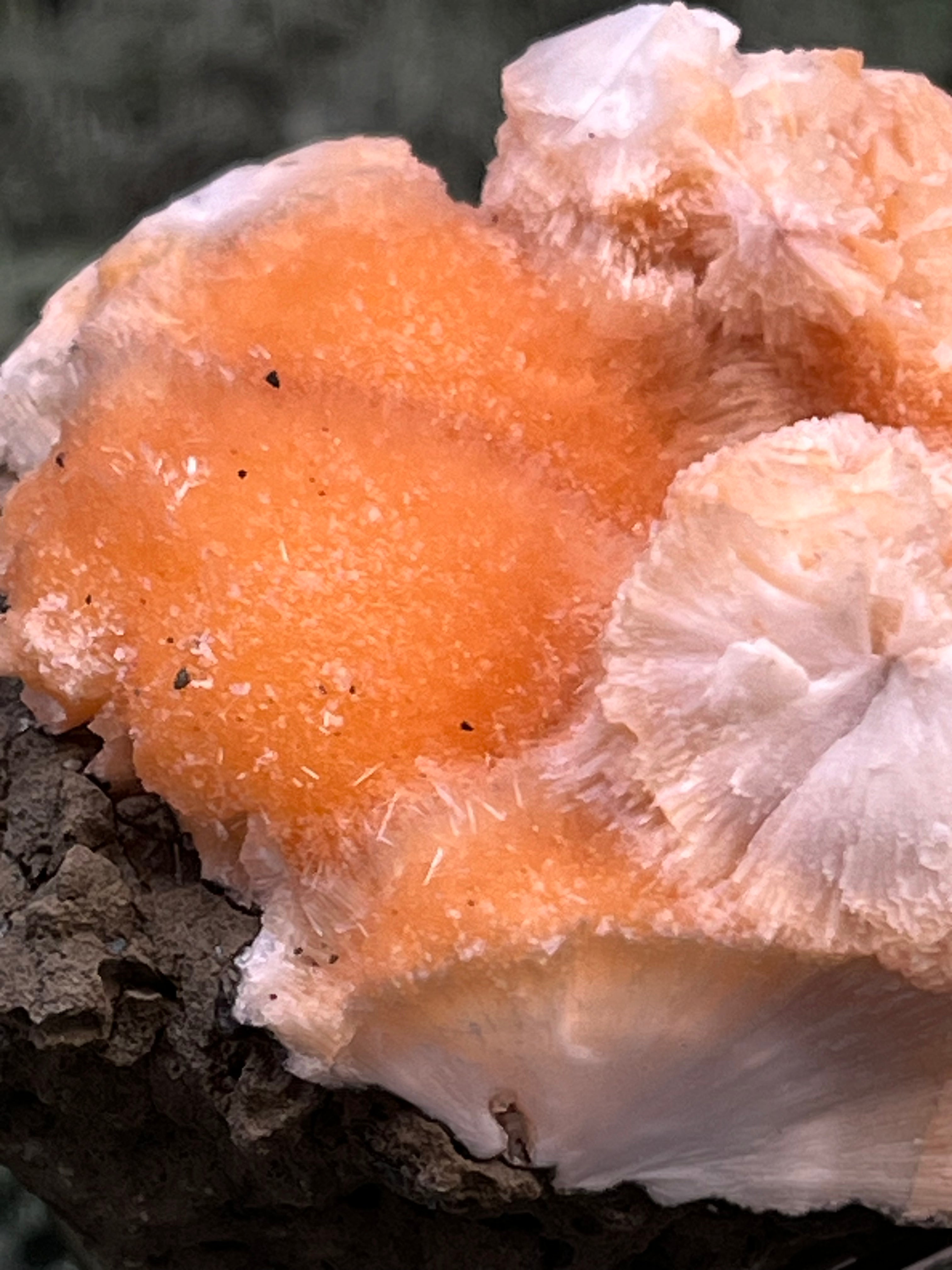 Thomsonit aus Indien (98g) - Stufe - leuchtend orange Farbe, mehrere schöne Kugelbildungen auf Muttergestein - crystal paradise