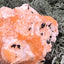 Thomsonit aus Indien (153g) - Stufe - leuchtend orange Farbe, mehrere schöne Kugelbildungen auf Muttergestein - crystal paradise