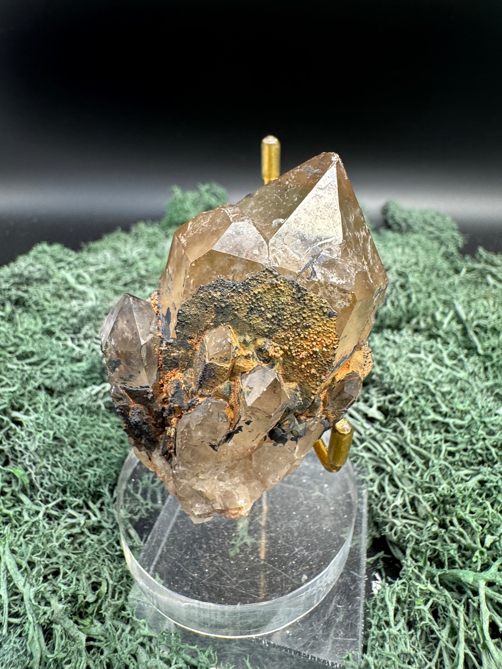 Citrin Handstufe aus Kunduluni, Kongo (132g) - schöne Kristallspitzen - crystal paradise