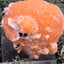 Thomsonit aus Indien (153g) - Stufe - leuchtend orange Farbe, mehrere schöne Kugelbildungen auf Muttergestein - crystal paradise