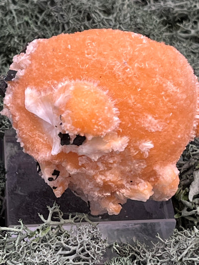 Thomsonit aus Indien (153g) - Stufe - leuchtend orange Farbe, mehrere schöne Kugelbildungen auf Muttergestein - crystal paradise