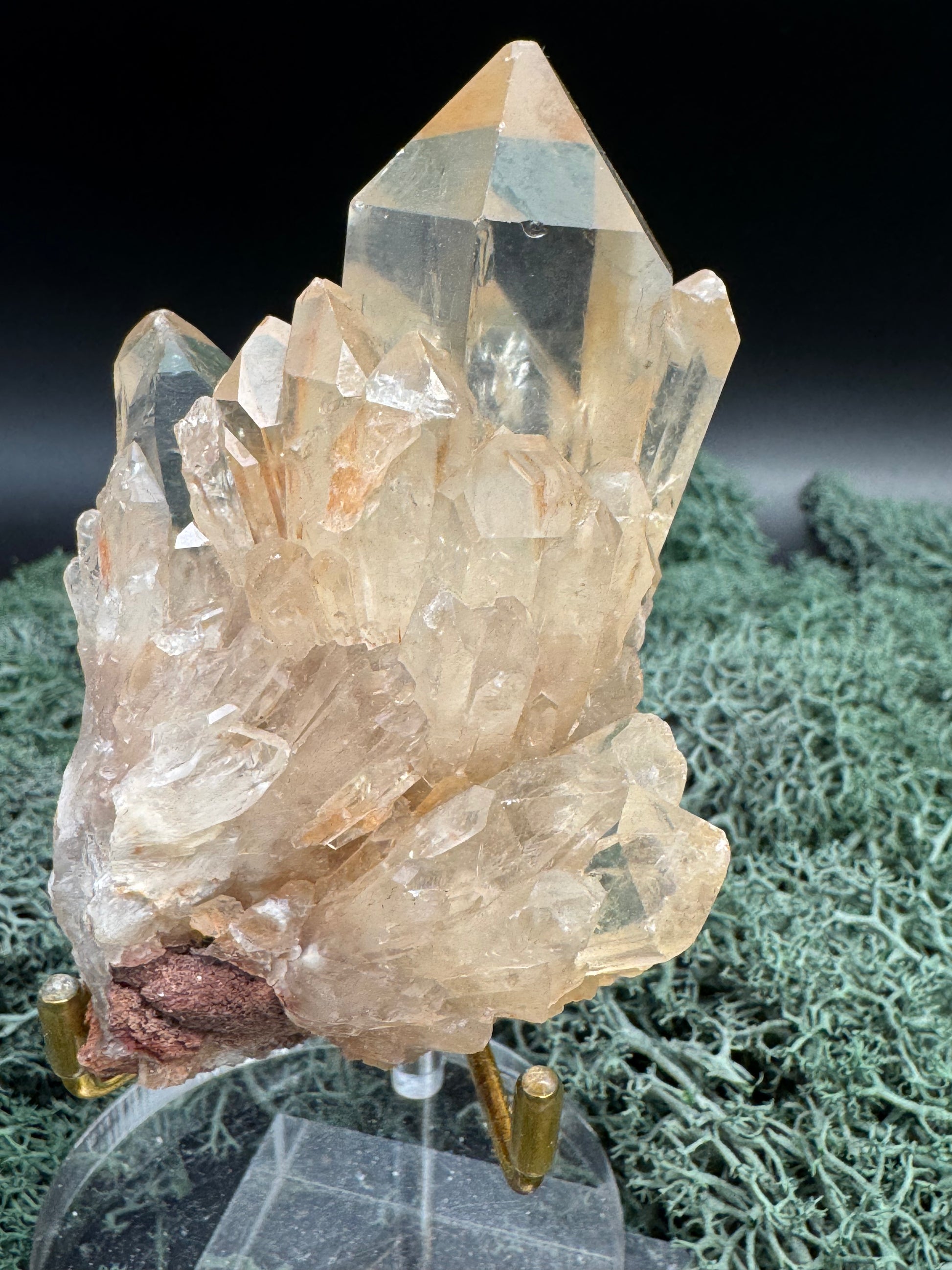 Citrin Handstufe aus Kunduluni, Kongo (210g) - sehr schöne helle Kristallspitzen - crystal paradise