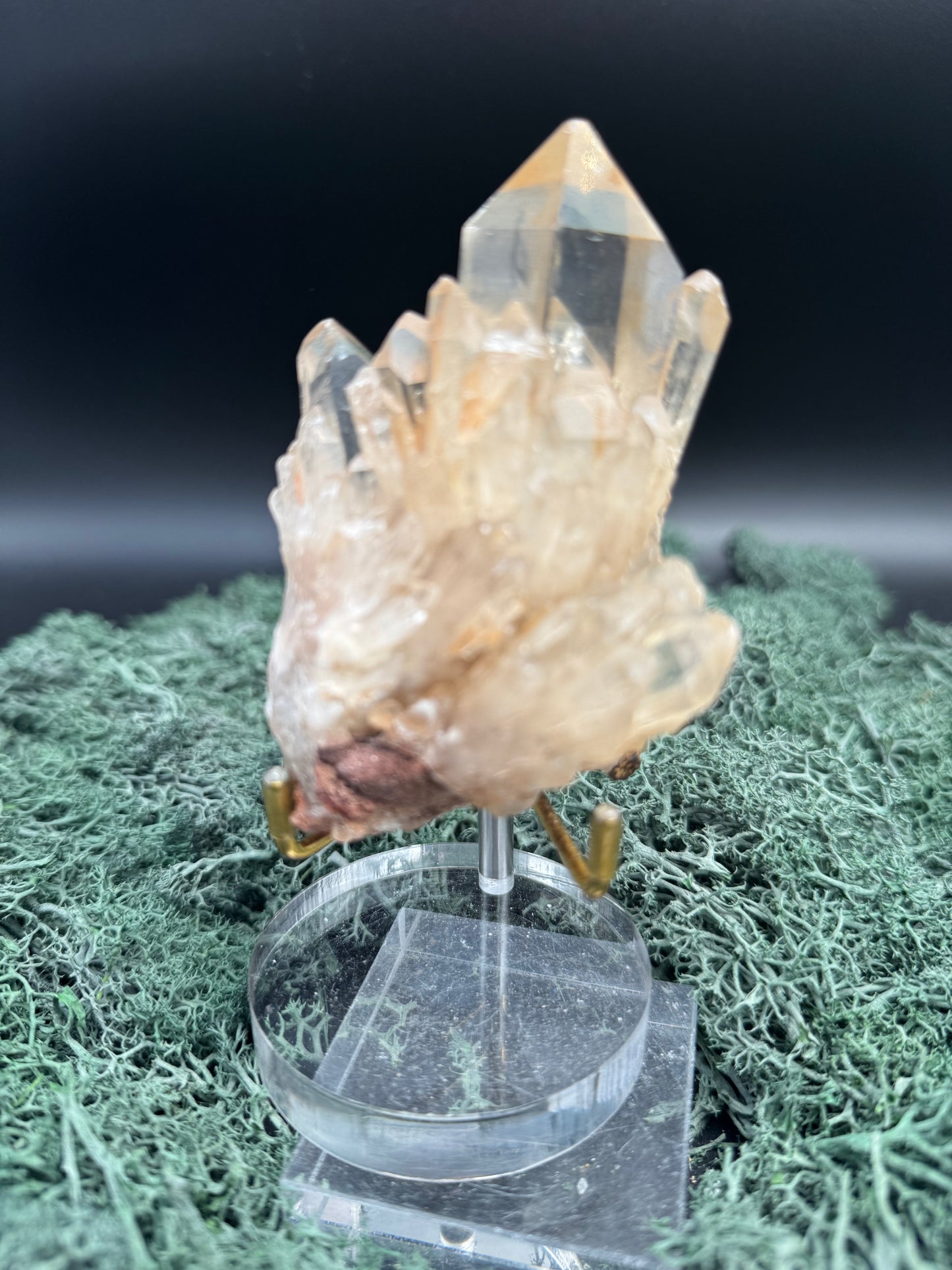 Citrin Handstufe aus Kunduluni, Kongo (210g) - sehr schöne helle Kristallspitzen - crystal paradise