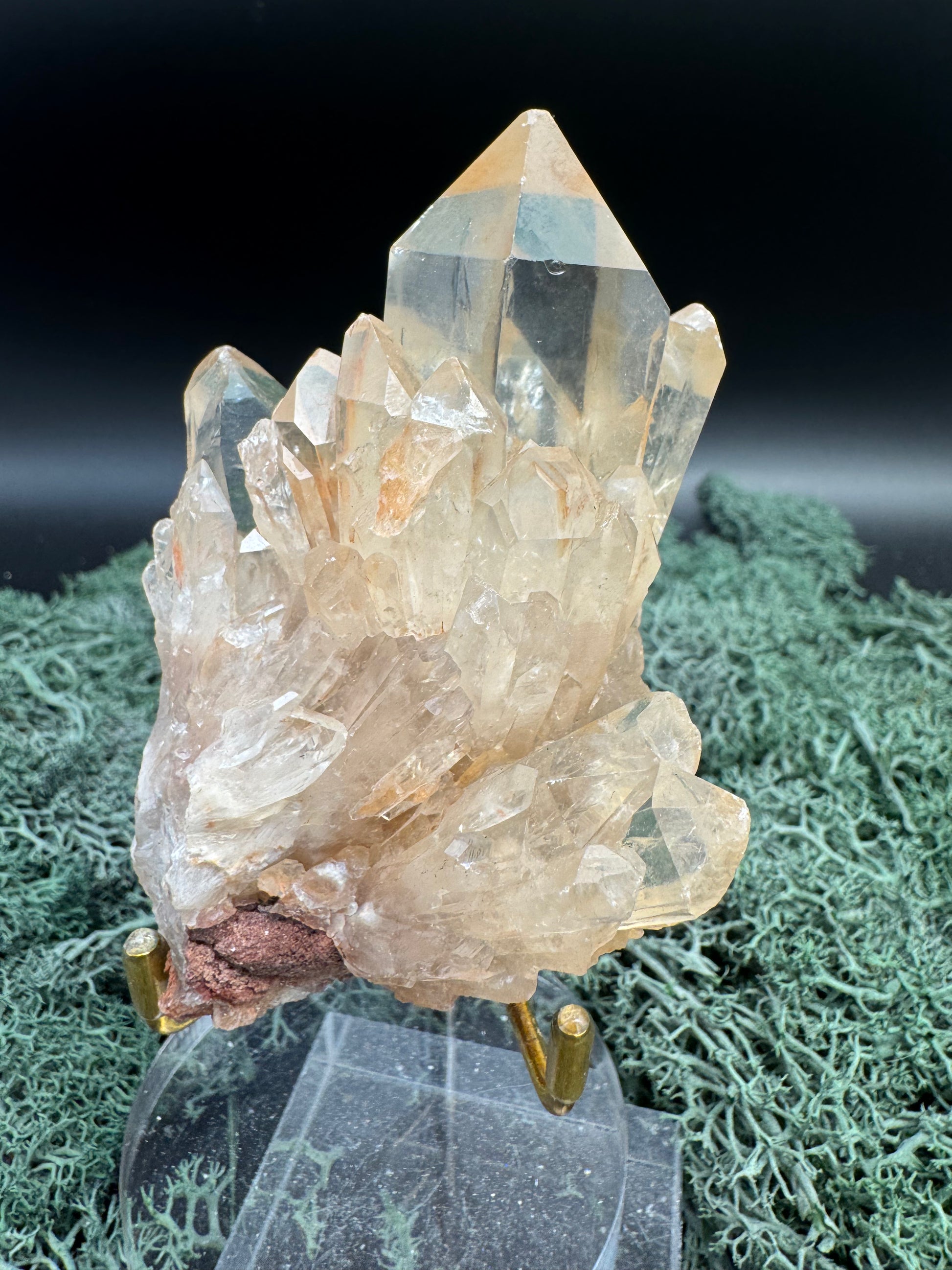 Citrin Handstufe aus Kunduluni, Kongo (210g) - sehr schöne helle Kristallspitzen - crystal paradise