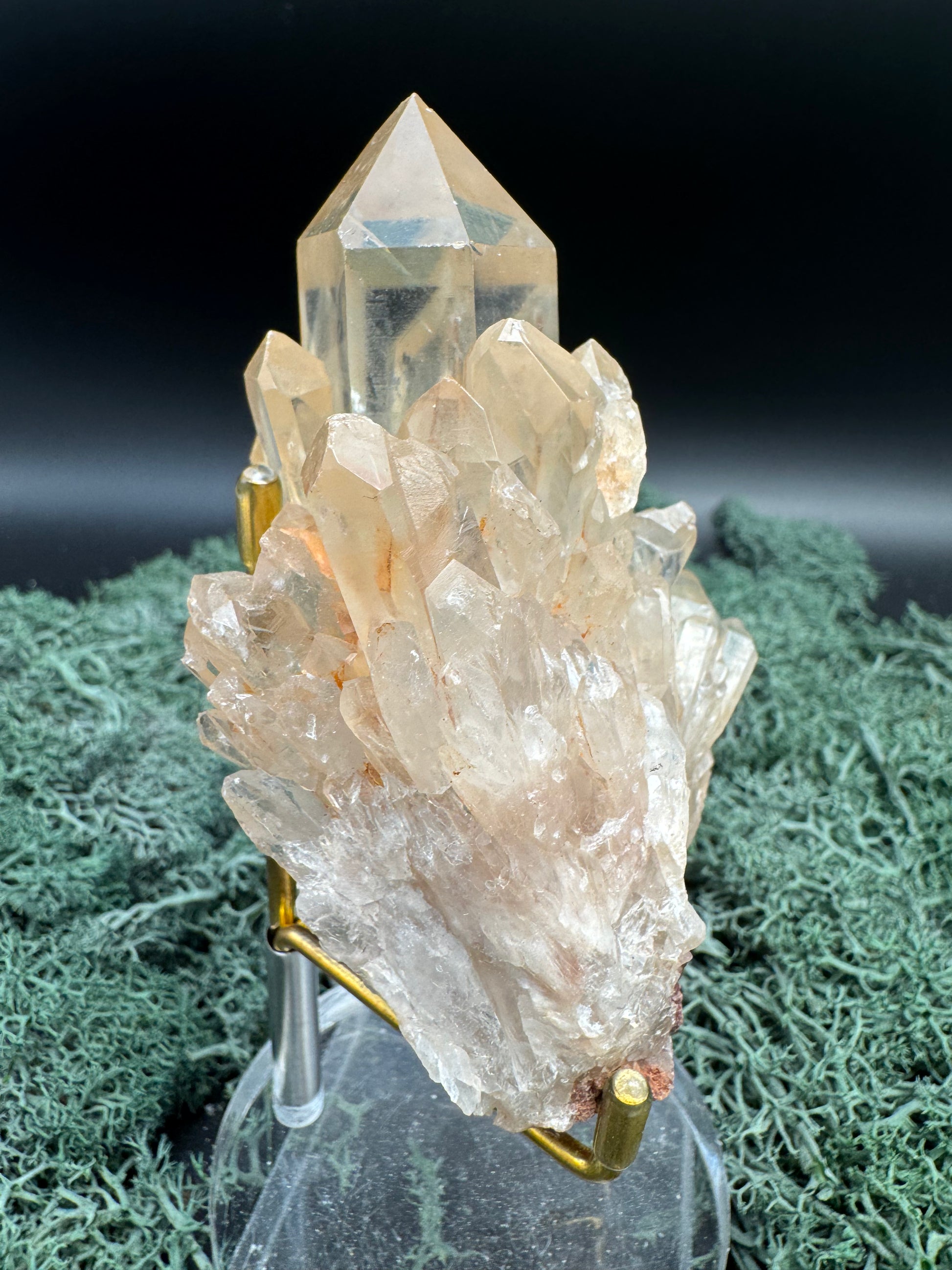 Citrin Handstufe aus Kunduluni, Kongo (210g) - sehr schöne helle Kristallspitzen - crystal paradise