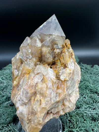 Citrin Handstufe aus Kunduluni, Kongo (502g) - schöne große dunkle Kristallspitze - crystal paradise