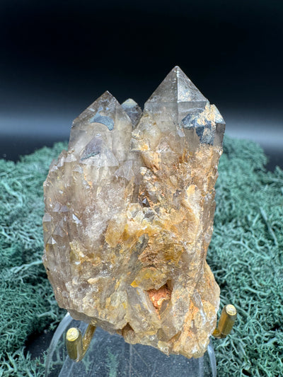 Citrin Handstufe aus Kunduluni, Kongo (137g) - schöne Kristallspitzen - crystal paradise