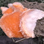 Thomsonit aus Indien (95g) - Stufe - leuchtend orange Farbe, auf Muttergestein - crystal paradise