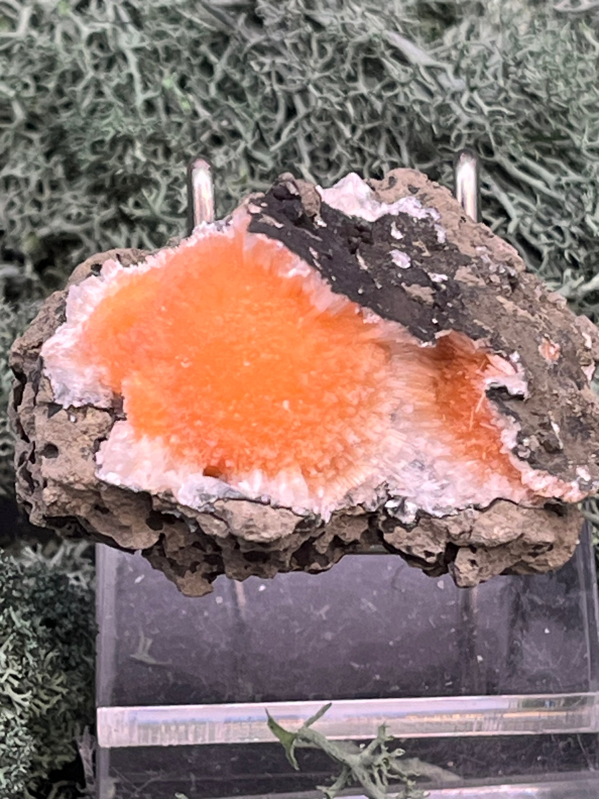 Thomsonit aus Indien (66g) - Stufe - leuchtend orange Farbe, schöne Kugelbildung auf Muttergestein - crystal paradise