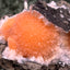 Thomsonit aus Indien (66g) - Stufe - leuchtend orange Farbe, schöne Kugelbildung auf Muttergestein - crystal paradise