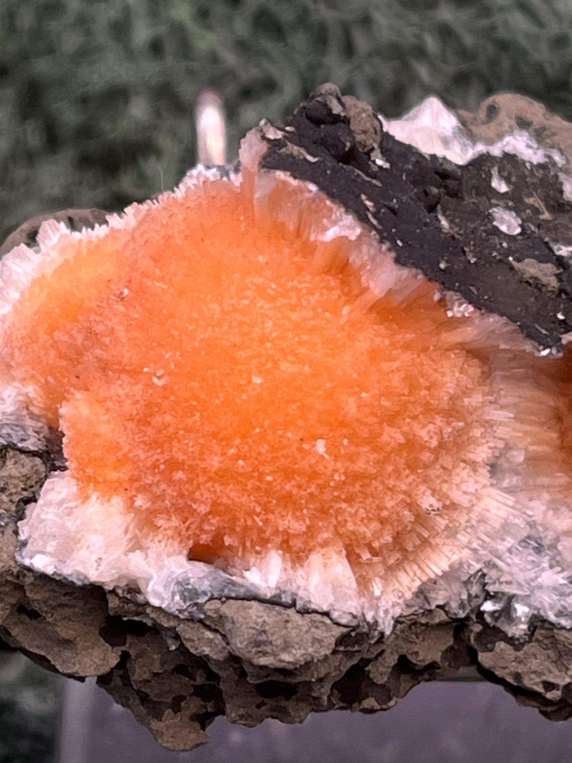 Thomsonit aus Indien (66g) - Stufe - leuchtend orange Farbe, schöne Kugelbildung auf Muttergestein - crystal paradise