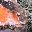 Thomsonit aus Indien (66g) - Stufe - leuchtend orange Farbe, schöne Kugelbildung auf Muttergestein - crystal paradise