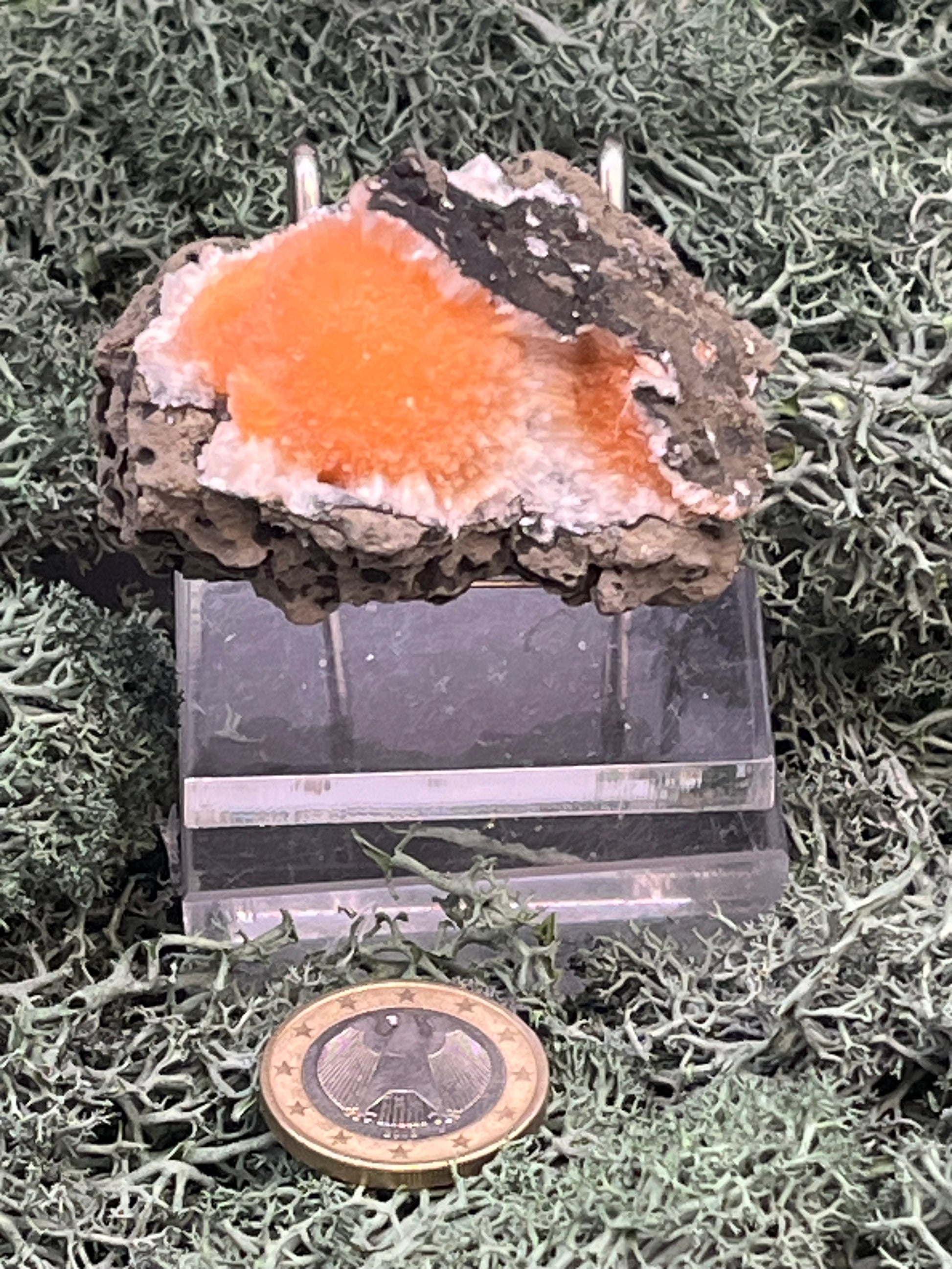 Thomsonit aus Indien (66g) - Stufe - leuchtend orange Farbe, schöne Kugelbildung auf Muttergestein - crystal paradise