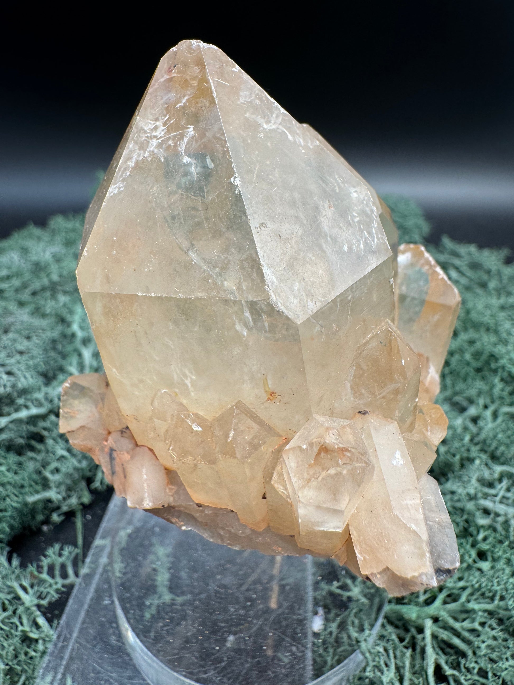 Citrin Handstufe aus Kunduluni, Kongo (212g) - schöne große klare Kristallspitze - crystal paradise