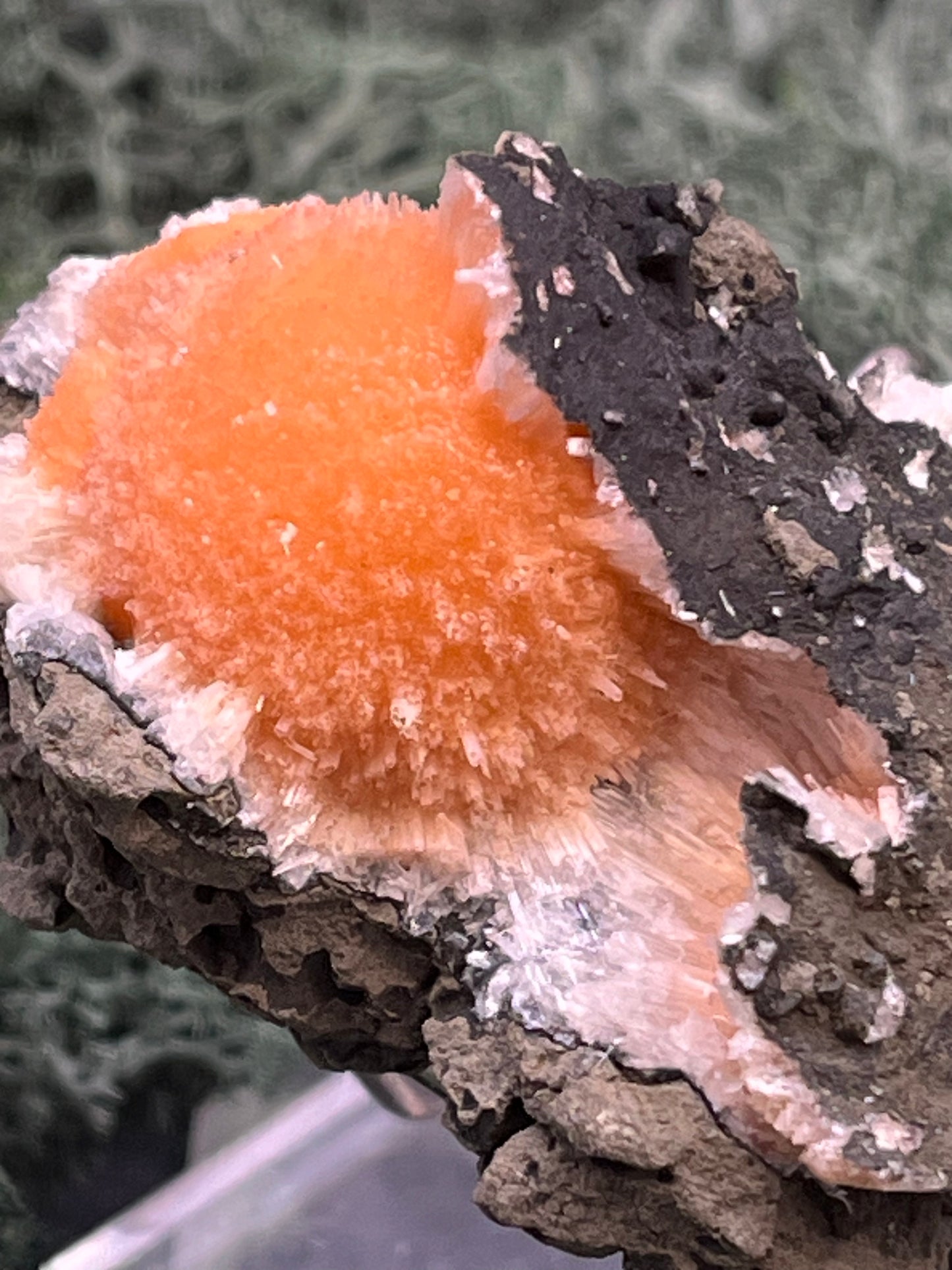 Thomsonit aus Indien (66g) - Stufe - leuchtend orange Farbe, schöne Kugelbildung auf Muttergestein - crystal paradise