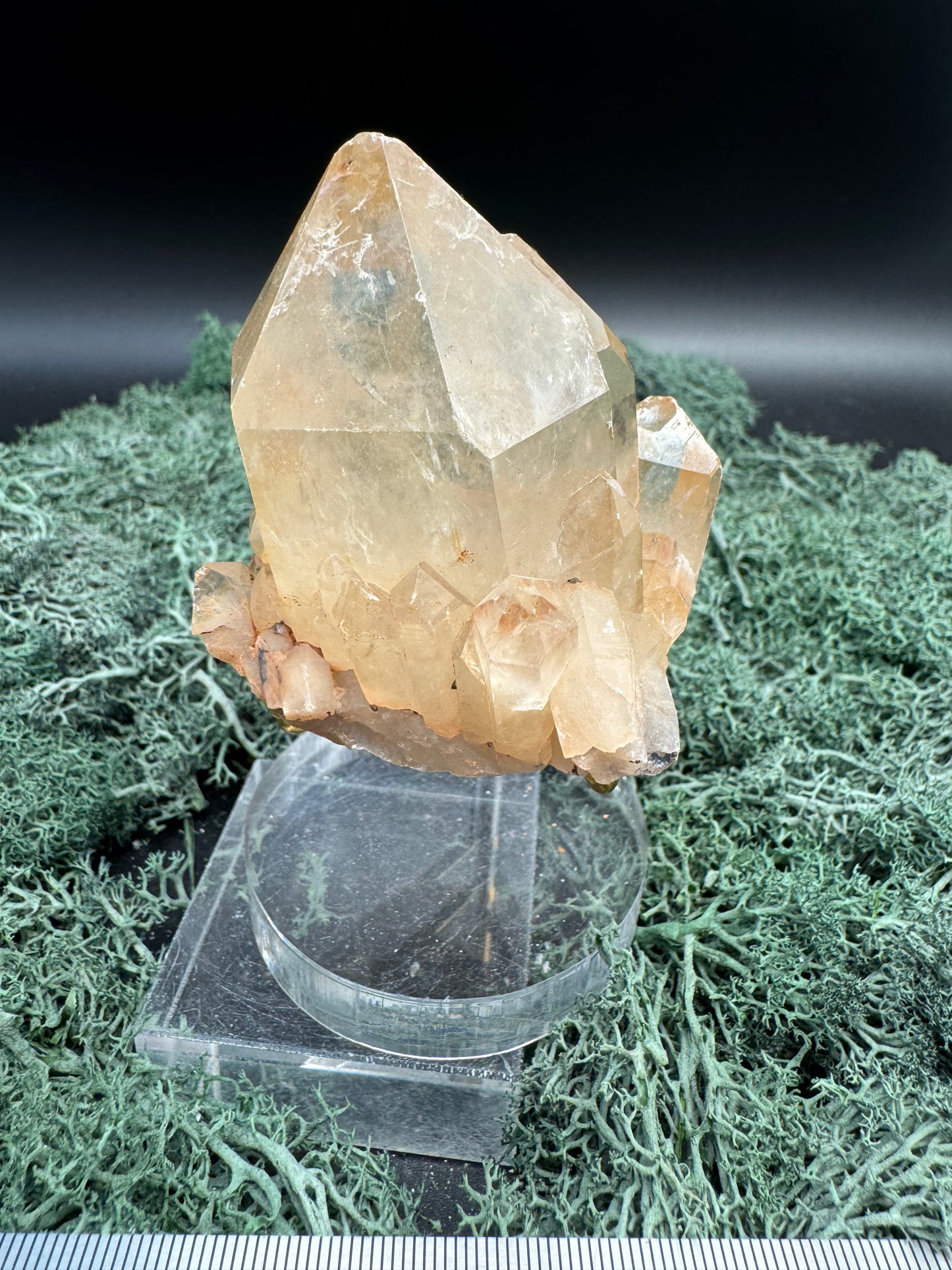 Citrin Handstufe aus Kunduluni, Kongo (212g) - schöne große klare Kristallspitze - crystal paradise