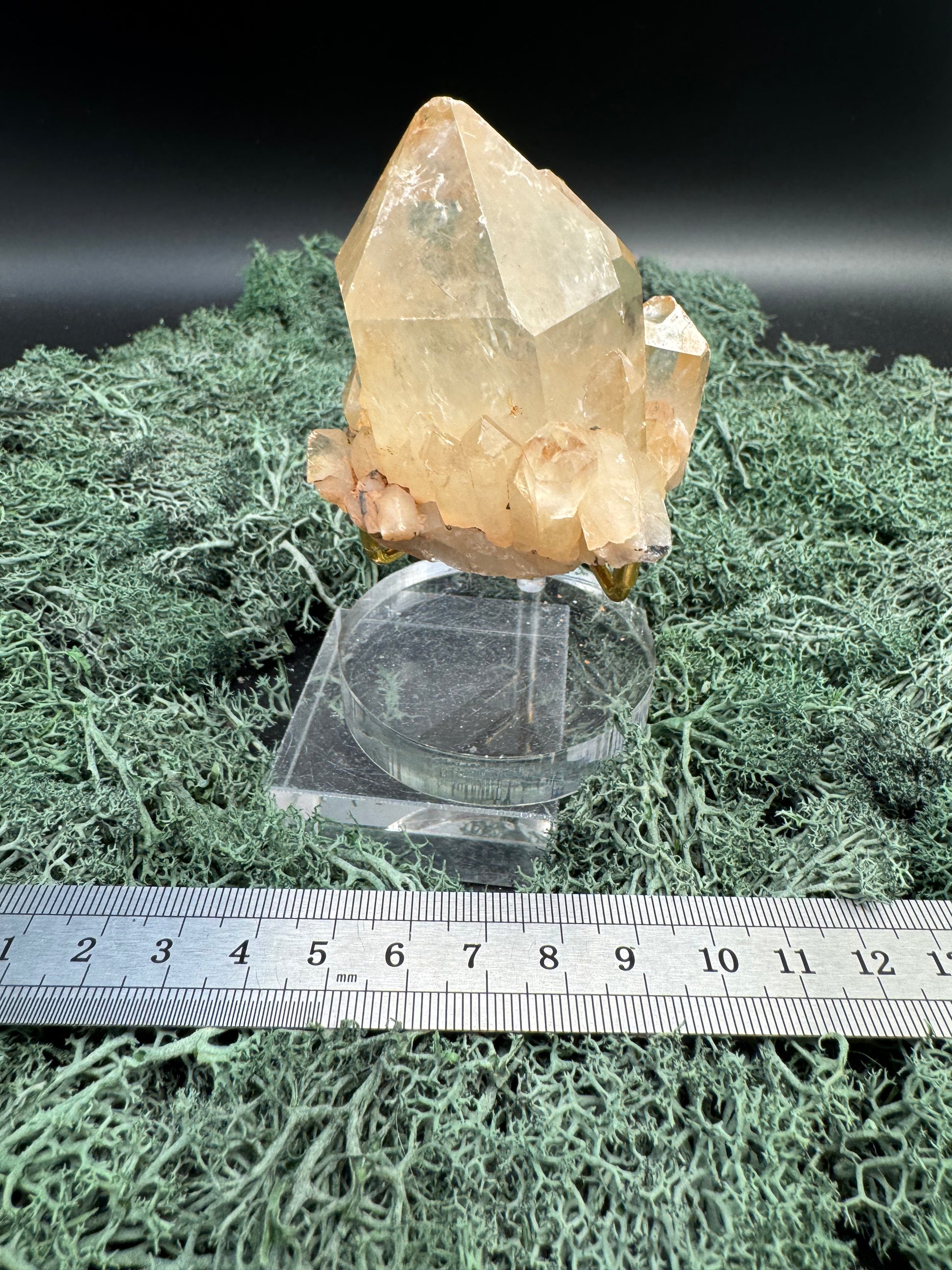 Citrin Handstufe aus Kunduluni, Kongo (212g) - schöne große klare Kristallspitze - crystal paradise