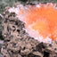 Thomsonit aus Indien (66g) - Stufe - leuchtend orange Farbe, schöne Kugelbildung auf Muttergestein - crystal paradise