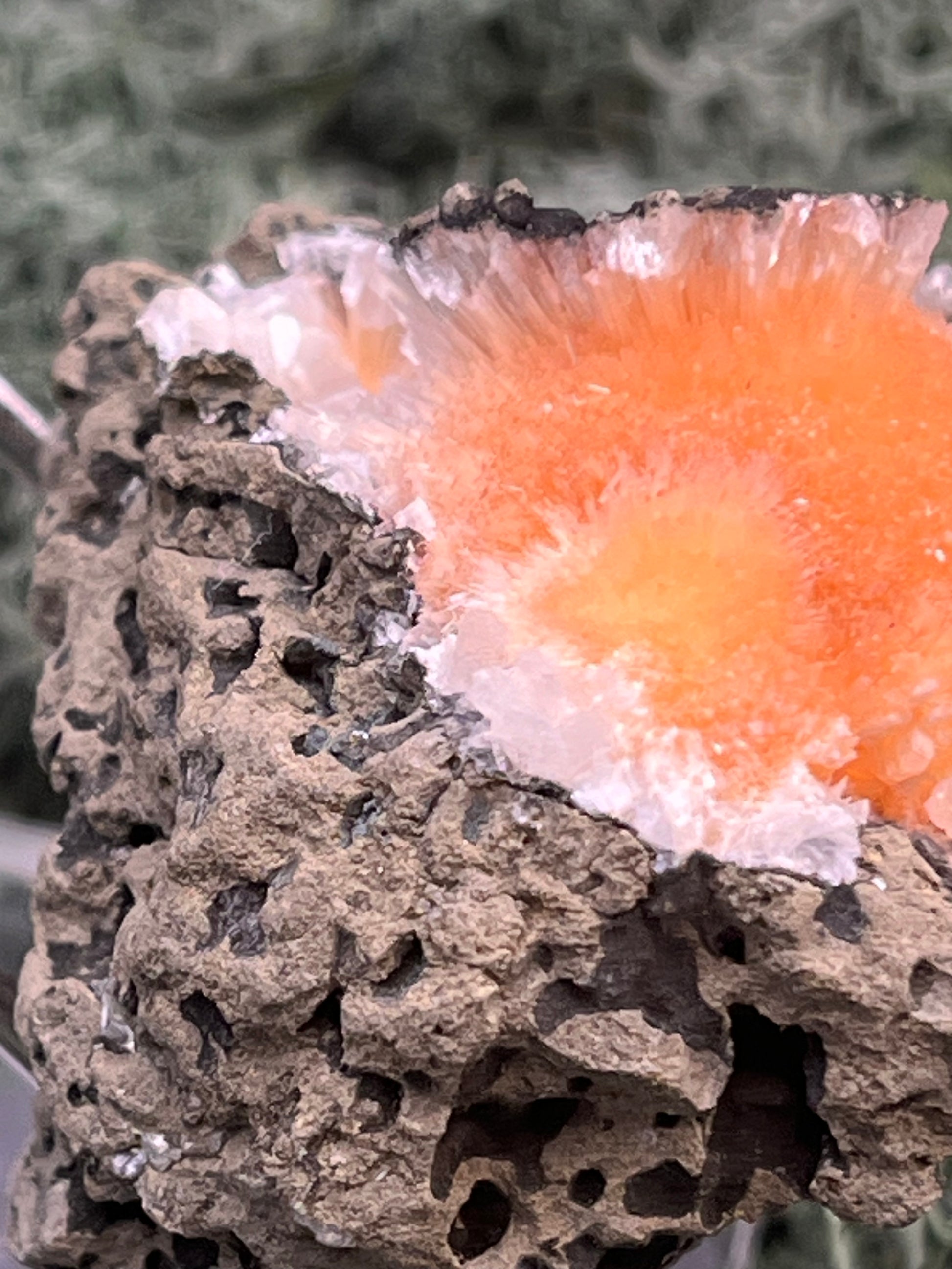 Thomsonit aus Indien (66g) - Stufe - leuchtend orange Farbe, schöne Kugelbildung auf Muttergestein - crystal paradise