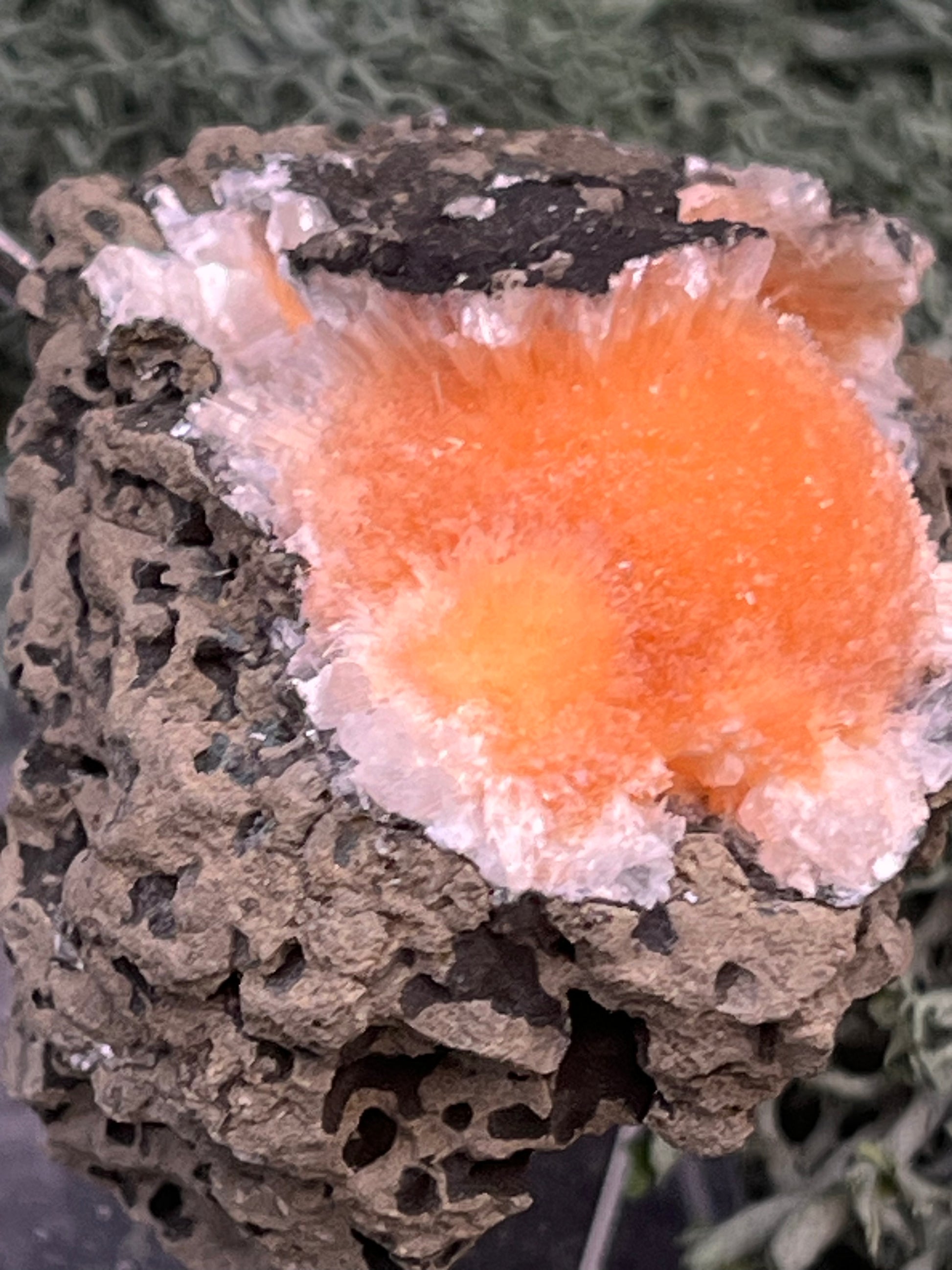 Thomsonit aus Indien (66g) - Stufe - leuchtend orange Farbe, schöne Kugelbildung auf Muttergestein - crystal paradise