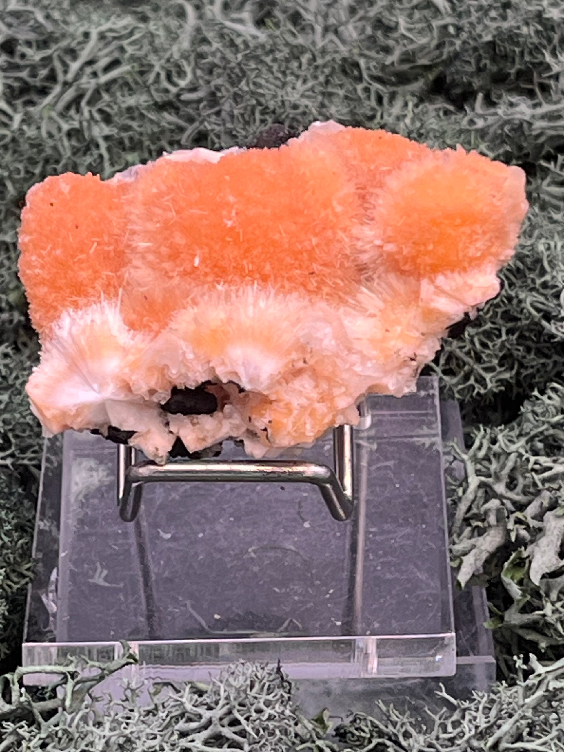 Thomsonit aus Indien (52g) - Stufe - leuchtend orange Farbe, schöne mehrere Kugelbildungen auf Muttergestein - crystal paradise