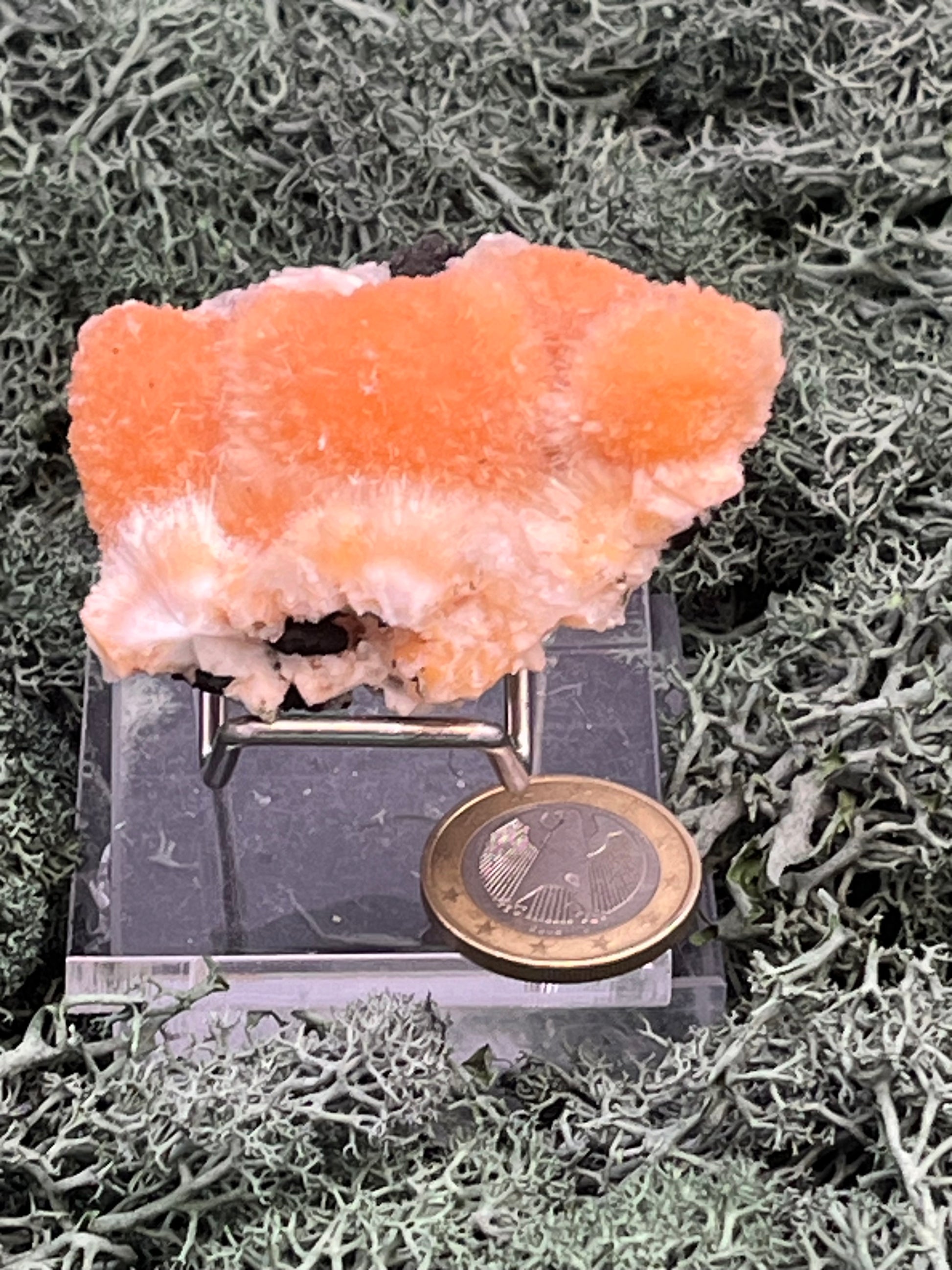 Thomsonit aus Indien (52g) - Stufe - leuchtend orange Farbe, schöne mehrere Kugelbildungen auf Muttergestein - crystal paradise