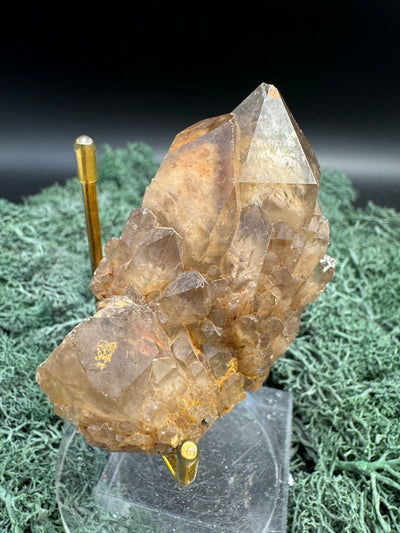 Citrin Handstufe aus Kunduluni, Kongo (171g) - schöne Kristallspitzen mit Phantom - crystal paradise